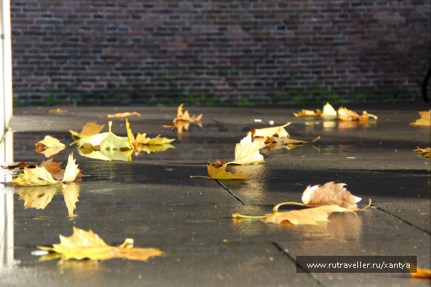photo 317768