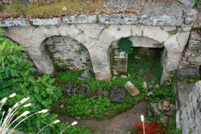 photo 263714