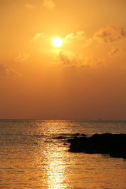 photo 298685