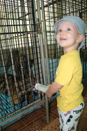 photo 298722
