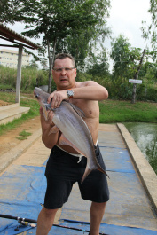 photo 298729