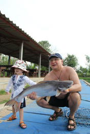 photo 298731