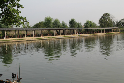 photo 298733