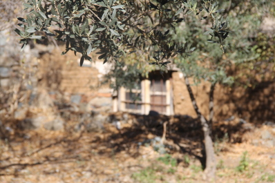 photo 574122