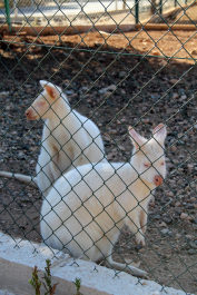 photo 574144