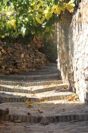 photo 574860
