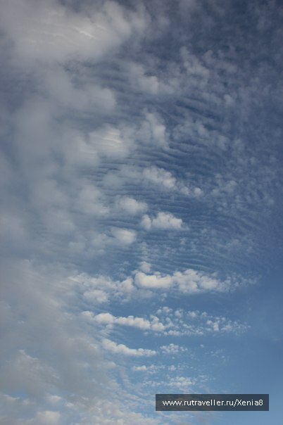 photo 355803