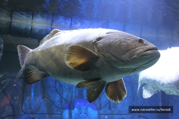photo 422898