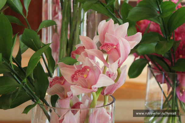 photo 422904