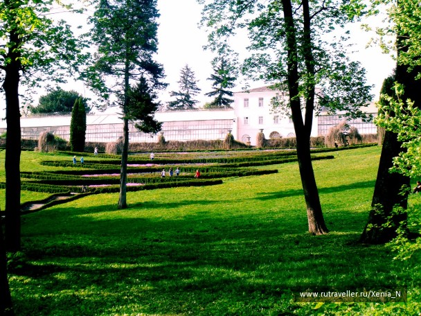 photo 1286494
