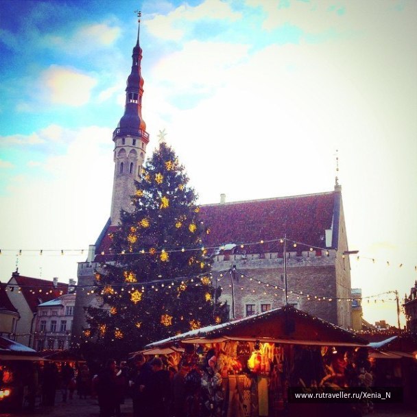 photo 1286478