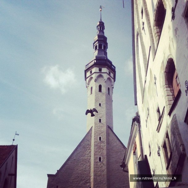 photo 1286481