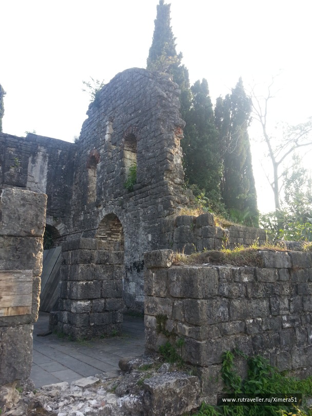 photo 1342877