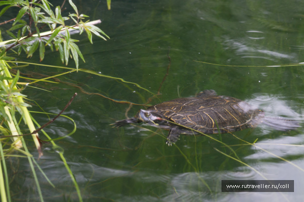 photo 1064818