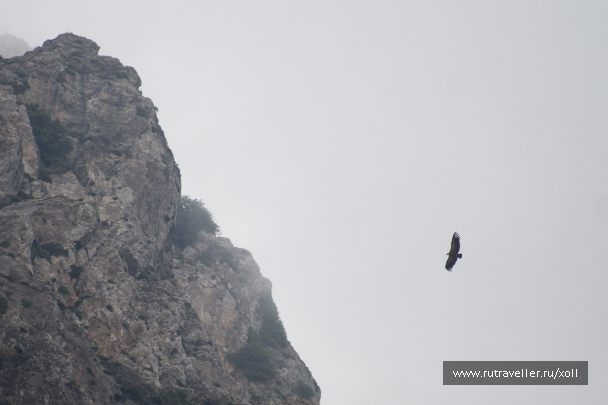 photo 1064824