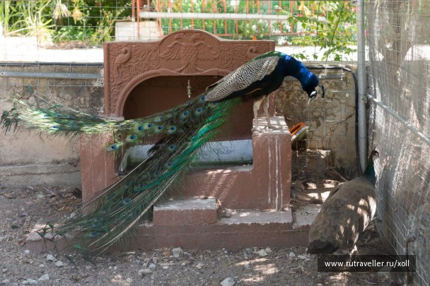 photo 1064841