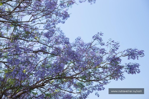 photo 1064842
