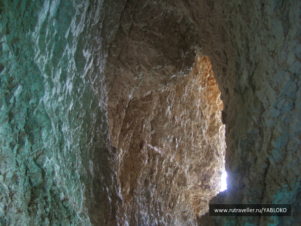photo 260099