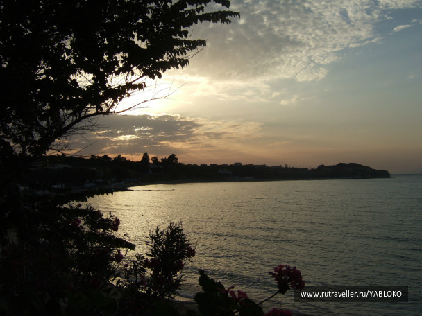 photo 260114