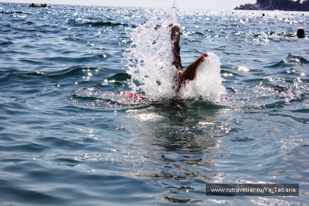 photo 1238824
