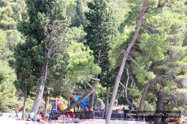 photo 1238825