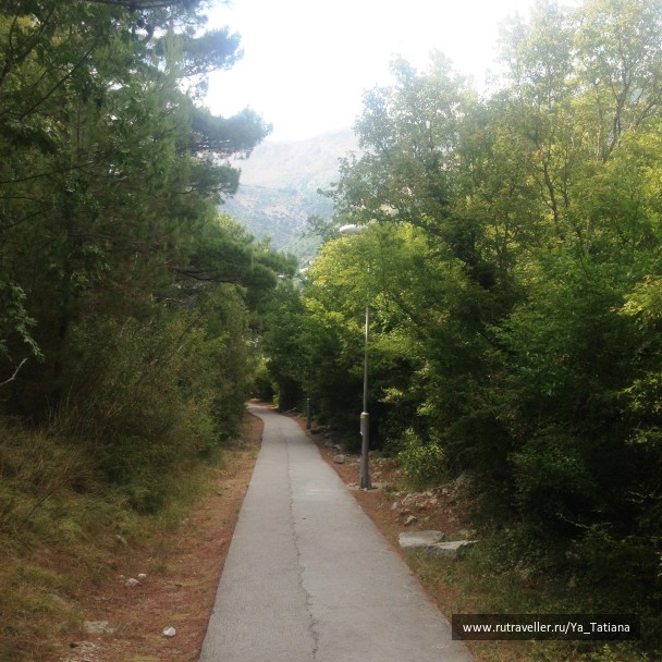 photo 1239915