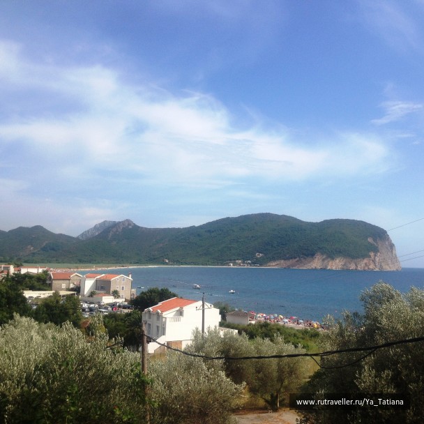 photo 1239916