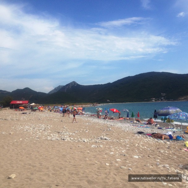 photo 1239918