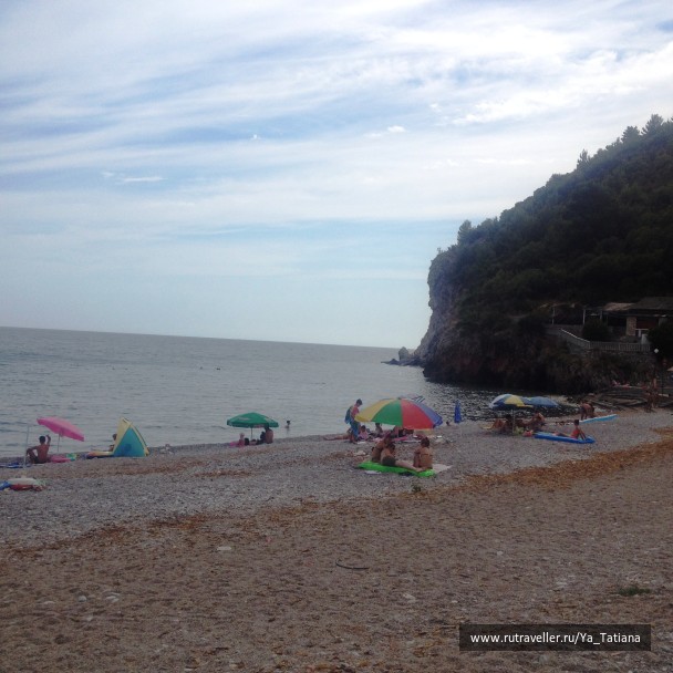 photo 1239919