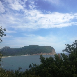 photo 1239921