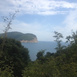 photo 1239923
