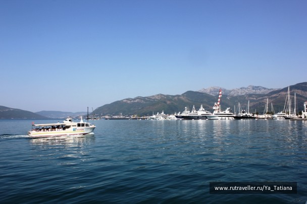photo 1242772
