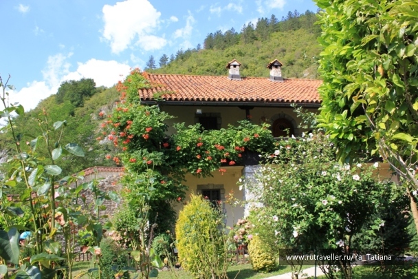 photo 1376875