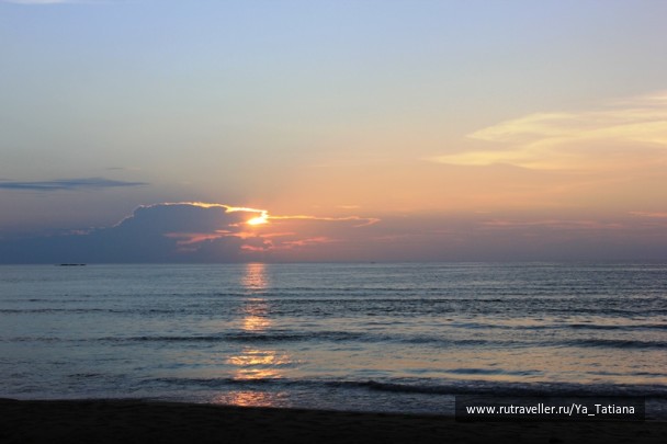 photo 1411836