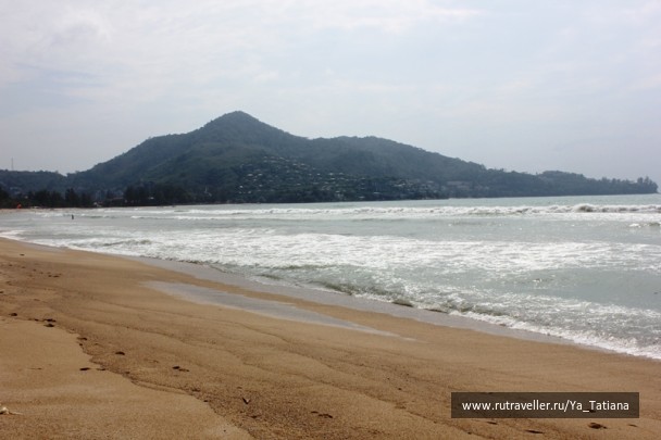 photo 1411842