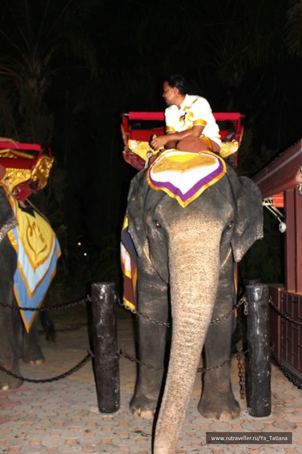 photo 1412664