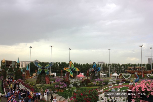 photo 1462985