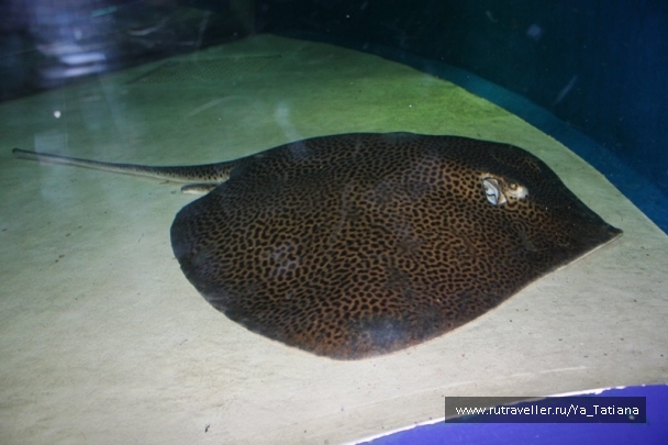 photo 1463006