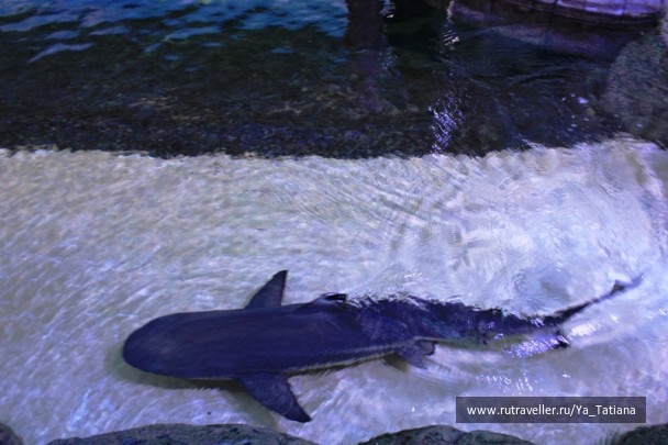 photo 1463010