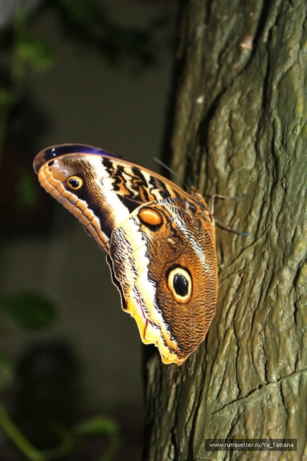 photo 1463278