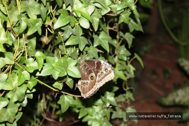 photo 1463280