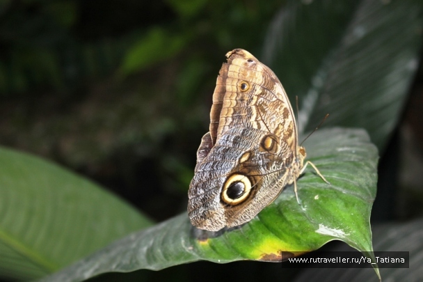 photo 1463281