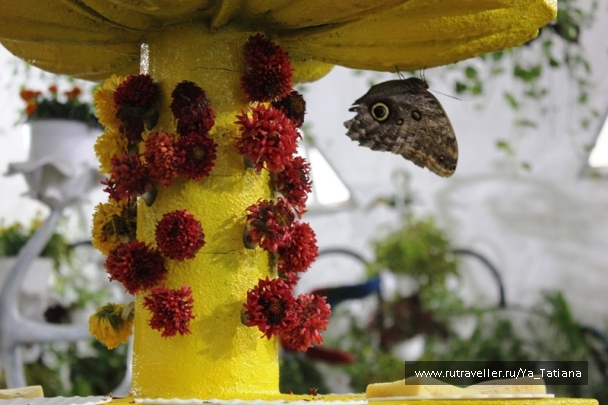 photo 1463284