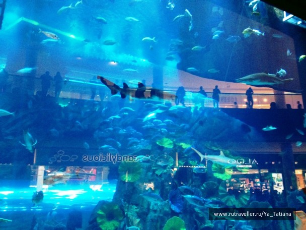 photo 1482151