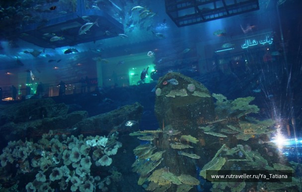 photo 1482152