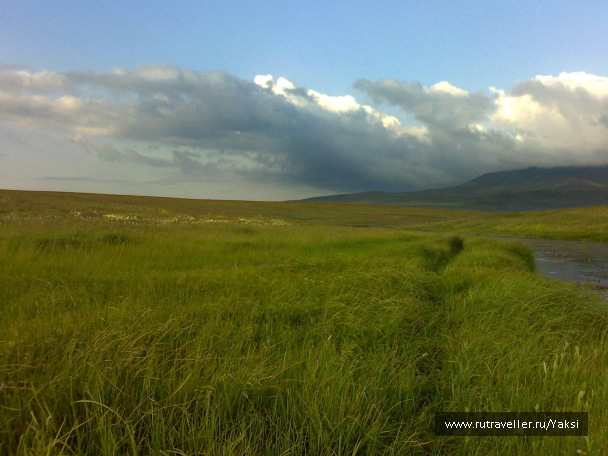 photo 1105172