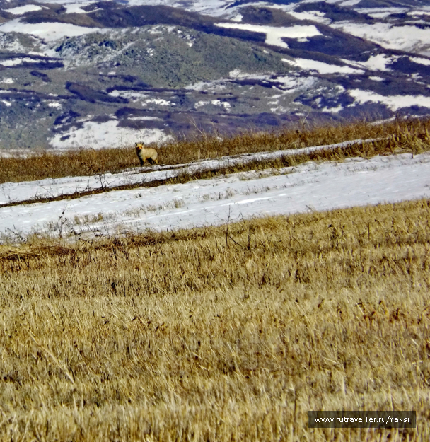 photo 1105355