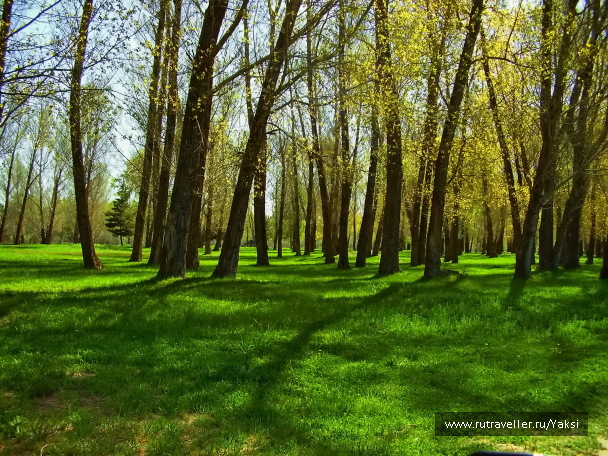 photo 1105411