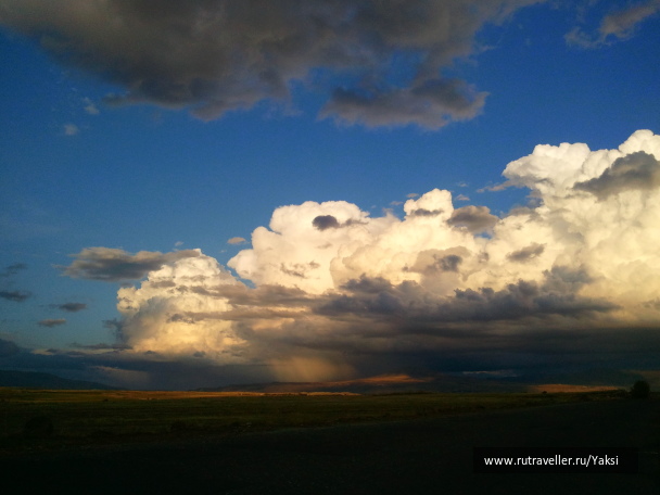 photo 1105417