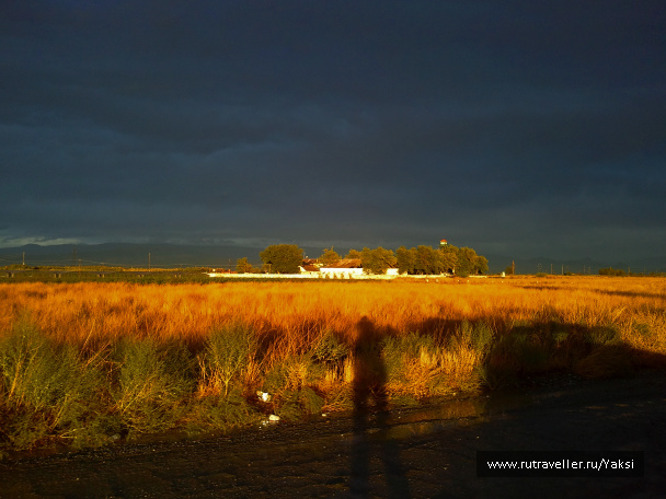 photo 1105420